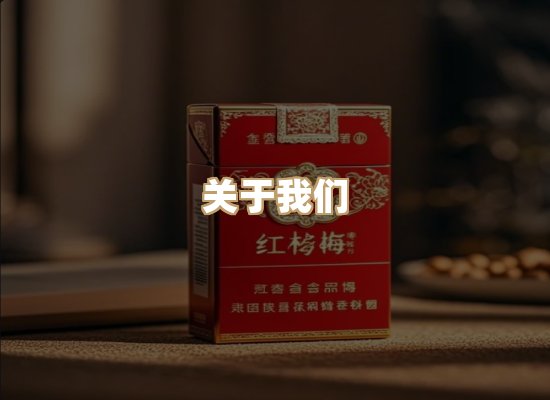 关于蓝帝网